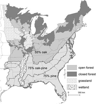 Reviewing Fire, Climate, Deer, and Foundation Species as Drivers of Historically Open Oak and Pine Forests and Transition to Closed Forests